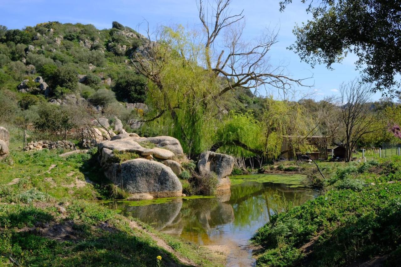 Il Nuraghe Del Lago Coghinas Oschiri Ngoại thất bức ảnh
