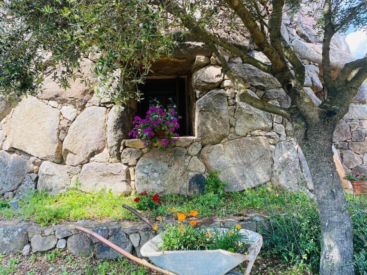 Il Nuraghe Del Lago Coghinas Oschiri Ngoại thất bức ảnh