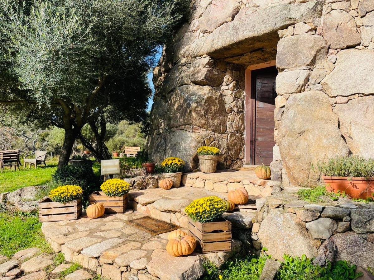 Il Nuraghe Del Lago Coghinas Oschiri Ngoại thất bức ảnh