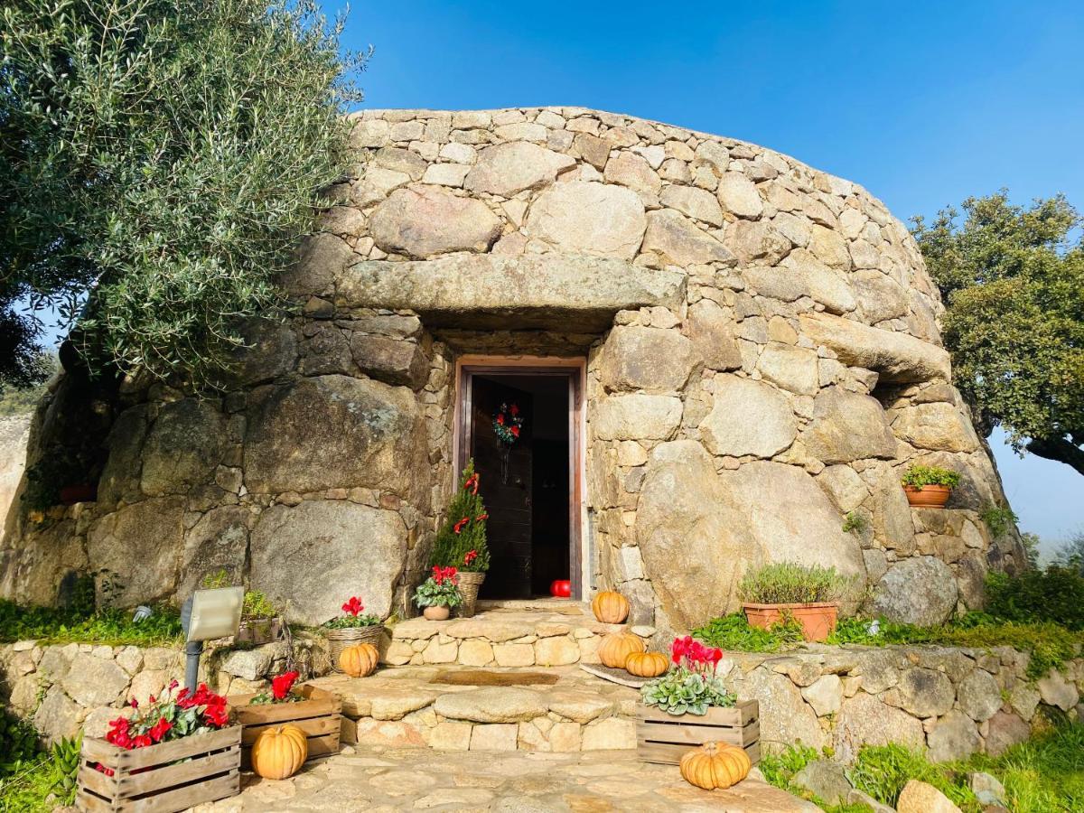 Il Nuraghe Del Lago Coghinas Oschiri Ngoại thất bức ảnh