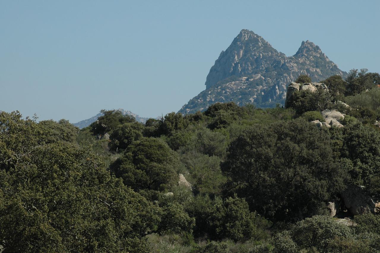 Il Nuraghe Del Lago Coghinas Oschiri Ngoại thất bức ảnh